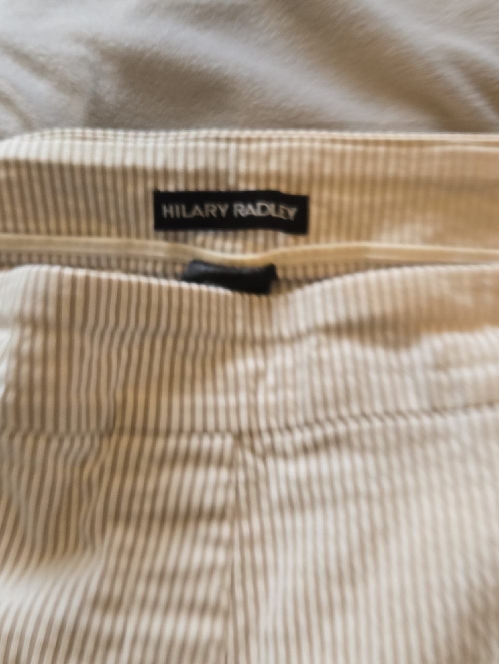 Hilary Radley Beige and White Pinstripe Skirt